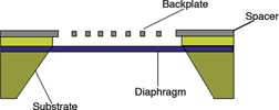 Figure 1. Structure of a MEMS microphone